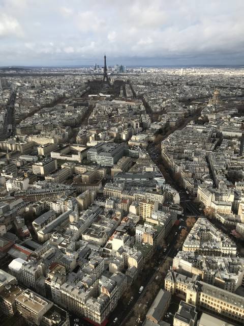       Aerial view of a dense urban area with landmarks.
  