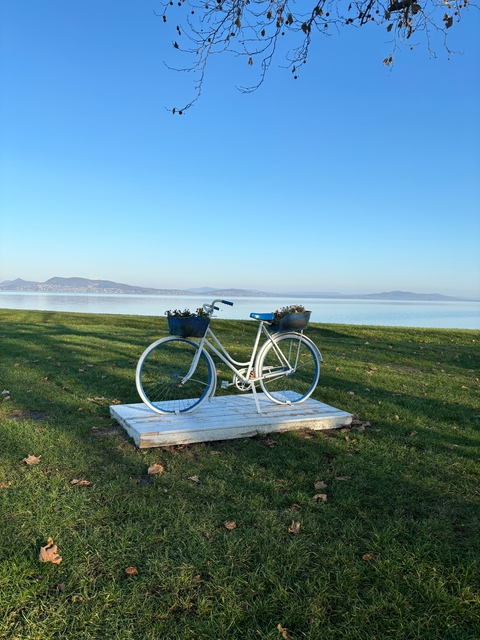 A stationary bicycle with flower baskets set against a lake view.
