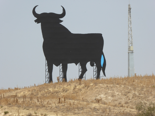 Silhouette of a large bull against the sky.
