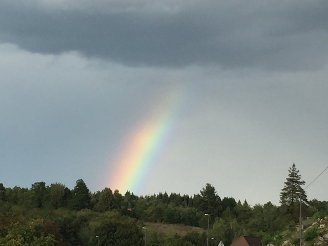       Rainbow over a forested landscape under a cloudy sky.
  