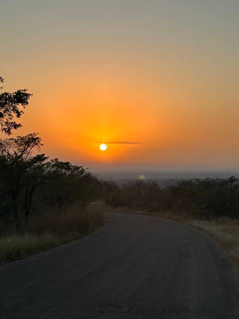 Sunset over a scenic landscape with trees and a road.