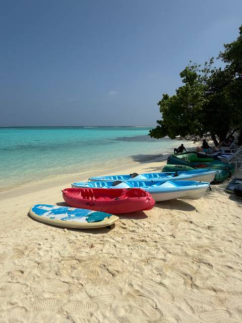       Colorful kayaks and paddleboards on a sandy beach.
  