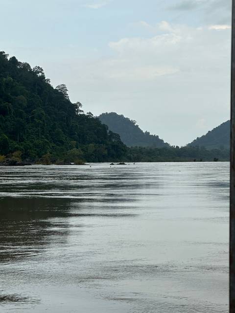 River flowing through lush green forest.