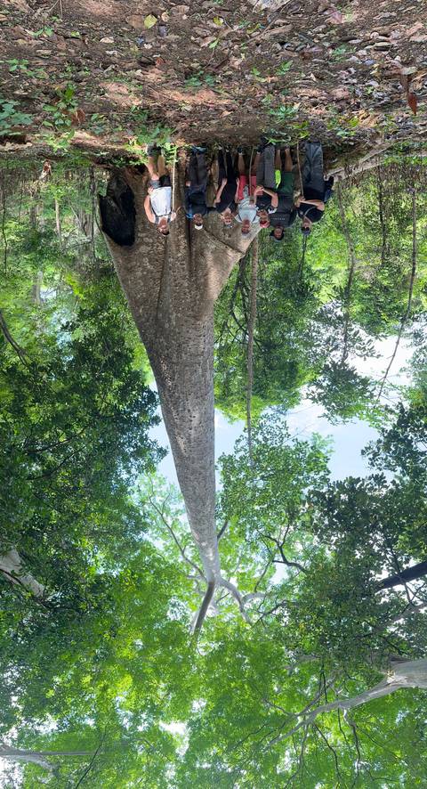Group standing in front of a large tree in a forest.