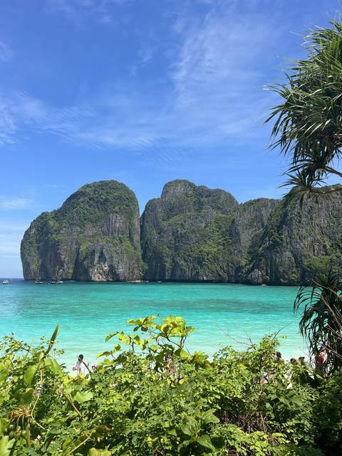       View of the sea and cliffs, pictured through trees.
  