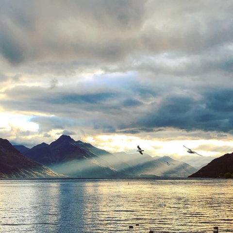 Klantbeoordelingsfoto van Nieuw-Zeeland Ontdekkingsreis 