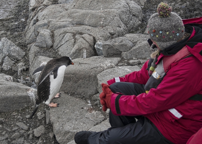       Person sitting near a penguin on rocky terrain.
  