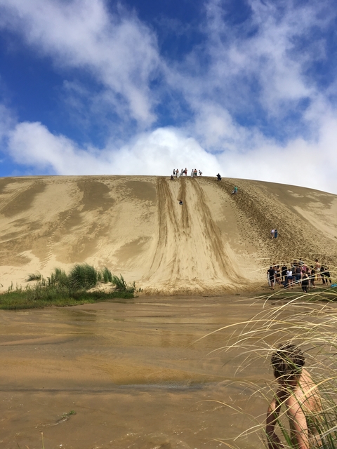 People sliding down a large sand dune.