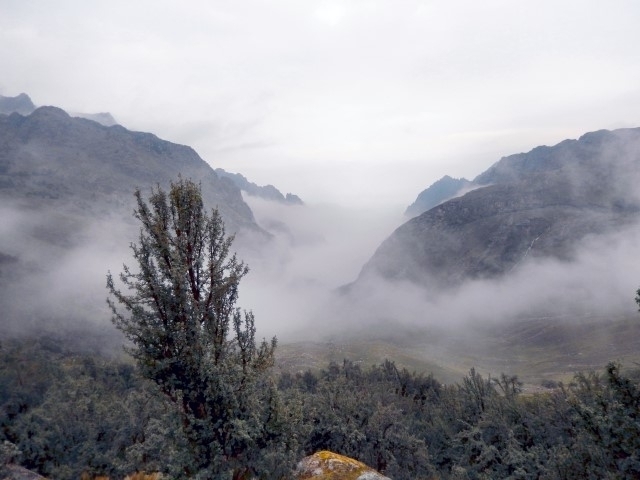       Klantbeoordelingsfoto van Achterpaden van Machu Picchu - privéreis 
  