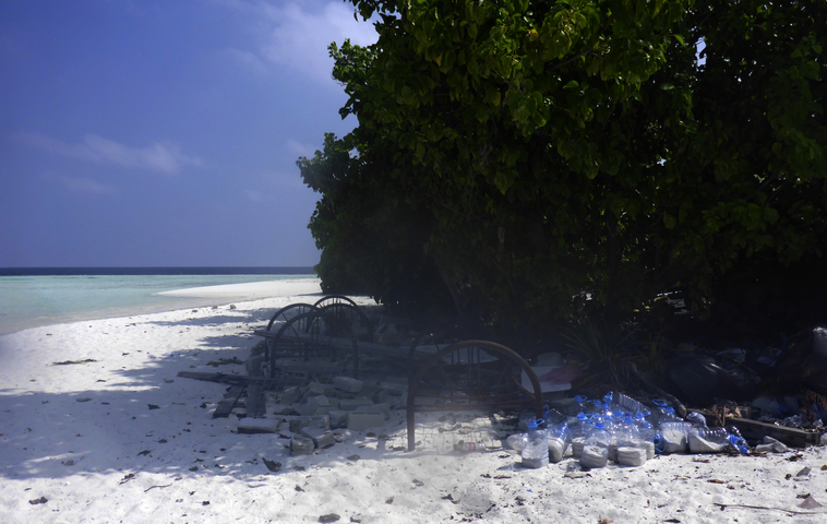 Beach with litter and vegetation, partially obscured view.