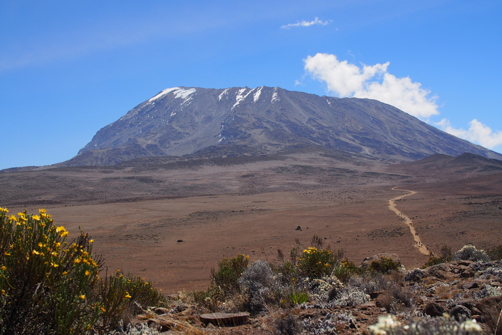       Mount Kilimanjaro towering over a barren landscape under a clear sky.
  