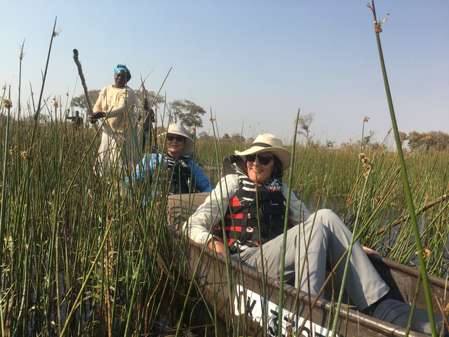      People on a guided canoe experience through reeds.
  