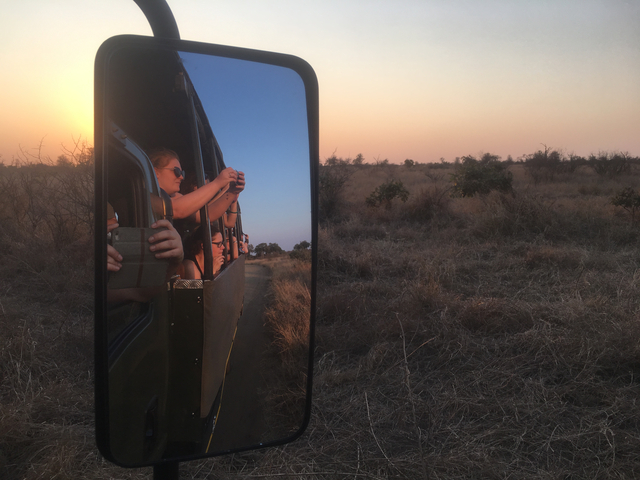       Tourists taking photos on a safari ride.
  