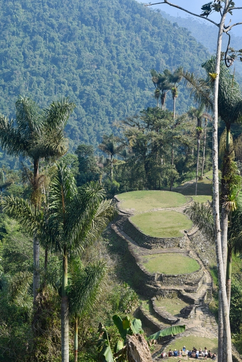 Stone terraces surrounded by lush jungle.