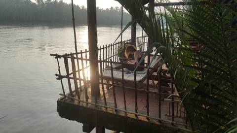       Person relaxing on a riverside deck with palm trees around.
  