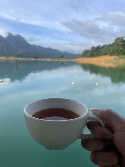 A hand holding a cup of tea with a lake view.