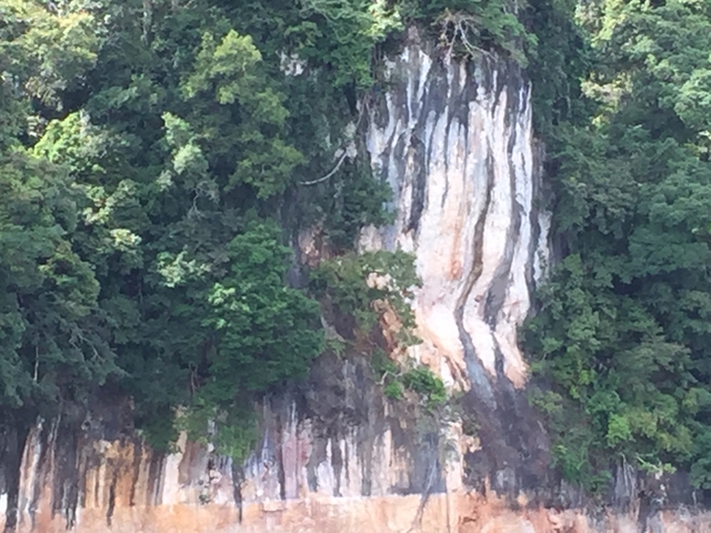High green cliff with dense vegetation.