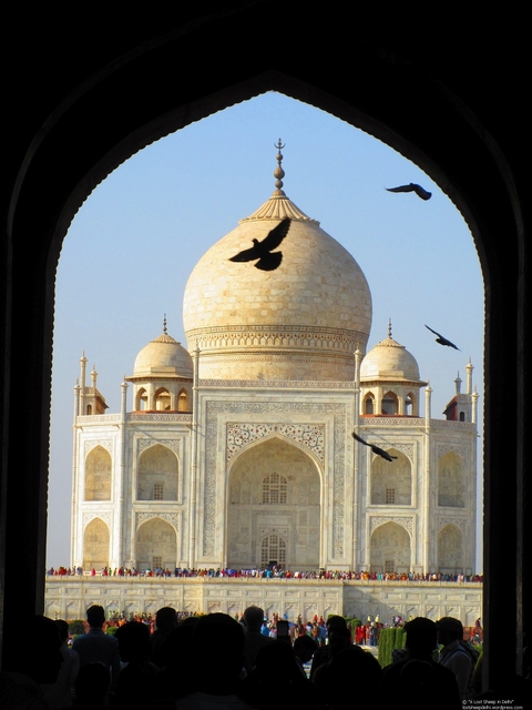       View of the Taj Mahal with birds
  