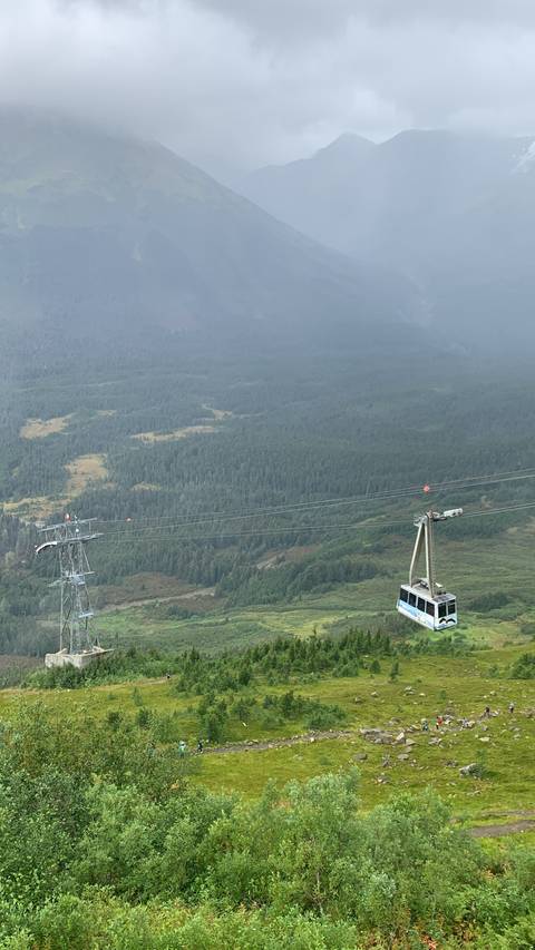 Cable car passing over a lush green mountainous landscape.