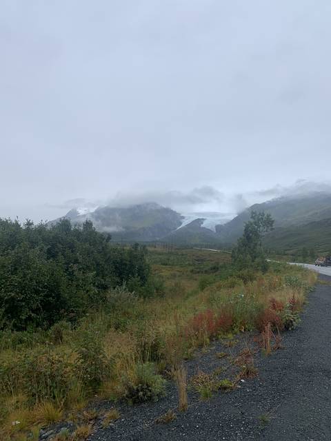 Misty mountains with vegetation in the foreground.