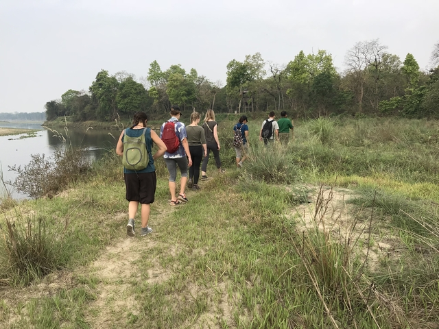       Group of people walking through a forested area.
  