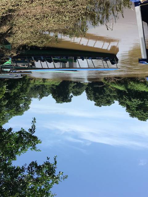       Bridge over a river on a sunny day.
  