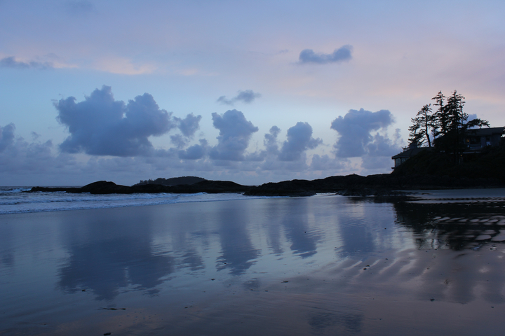 Beach with reflections of clouds and trees.