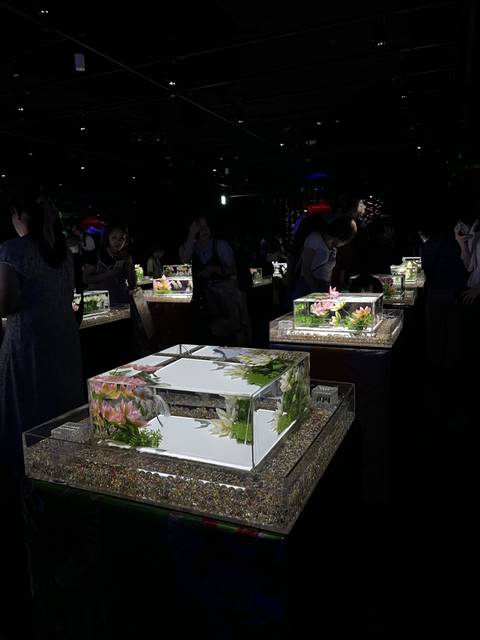 Aquarium displays glowing in a dimly lit room with people around.