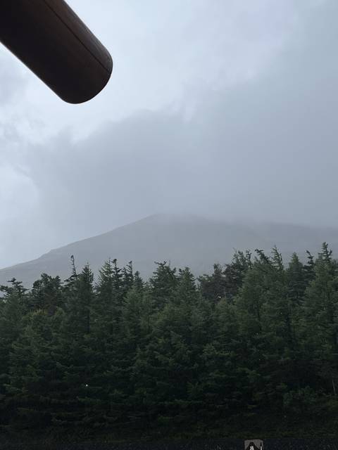 A forested landscape with a partially visible mountain in the rain.