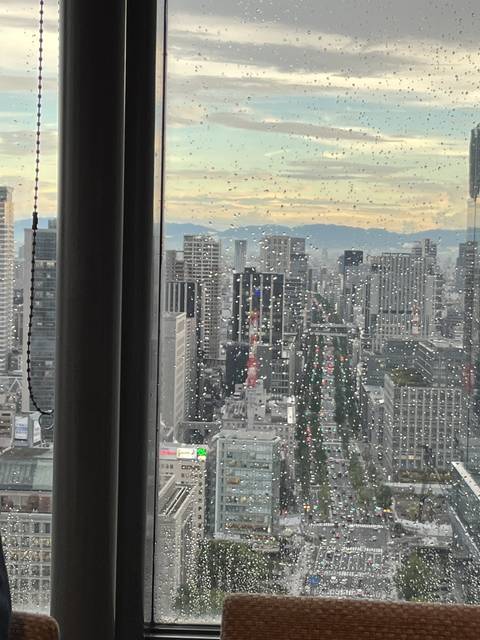 A cityscape view through a window on a rainy day.