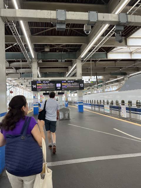 People walking in a train station platform.