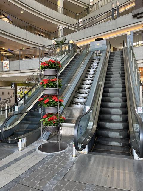       Interior of a building with escalators and decorative plants.
  