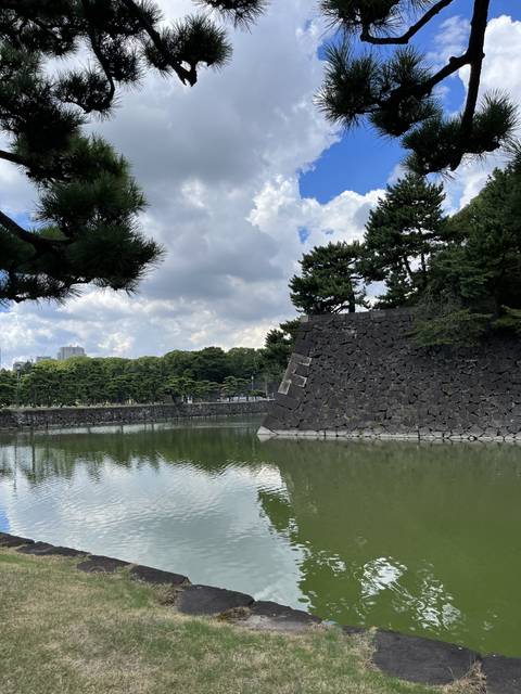       Stone wall and trees by a water body.
  