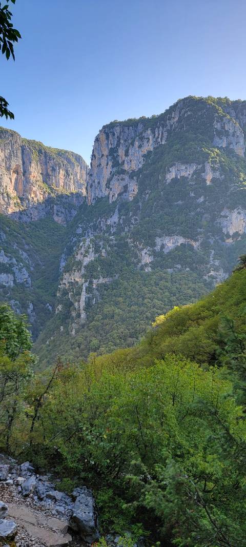       Forest and rocky hillscape in a vertical orientation.
  