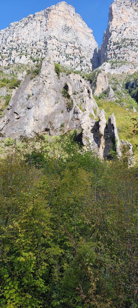       Rocky landscape with vegetation.
  