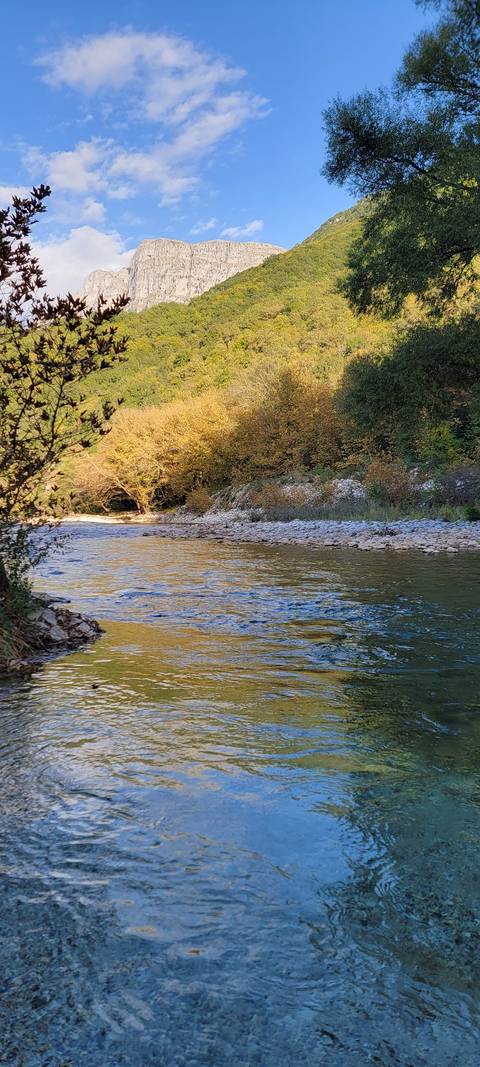      River flowing through a forested area with rocky hills.
  