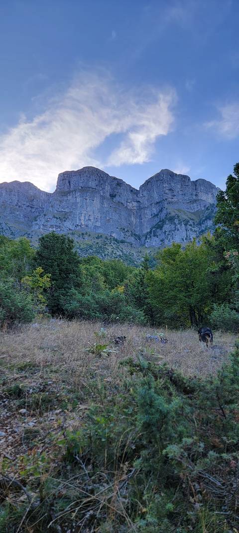       Mountain landscape with trees and cliffs.
  