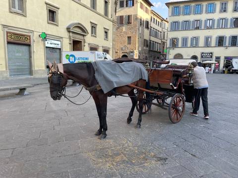      Horse-drawn carriage on a street in Florence.
  