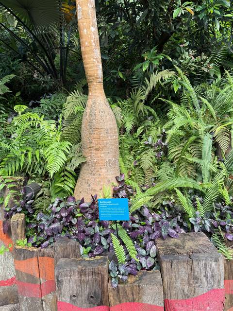 Stone with text surrounded by plants and wooden logs.