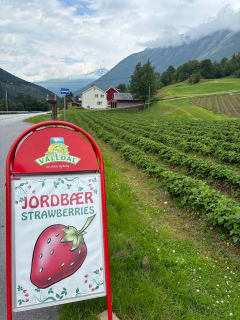       Strawberry sign with mountain farm backdrop.
  