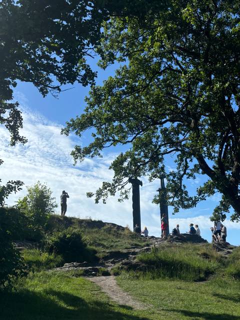       People at a scenic viewpoint with totem poles.
  
