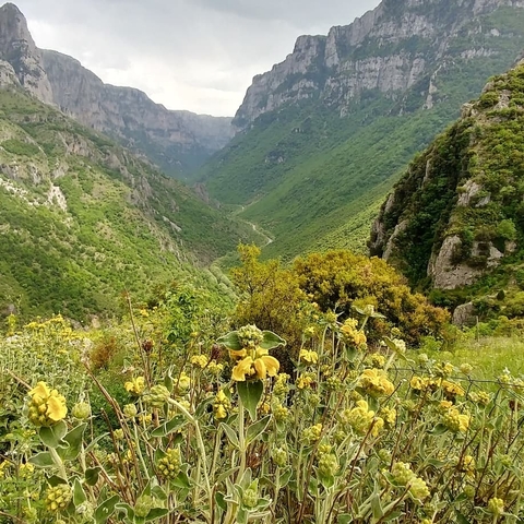 Klantbeoordelingsfoto van Wild Mountains & Rivers Avontuur 