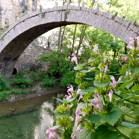 Stone bridge over a river, surrounded by greenery and flowers.