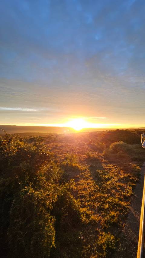       Sunset view over a landscape with vegetation.
  