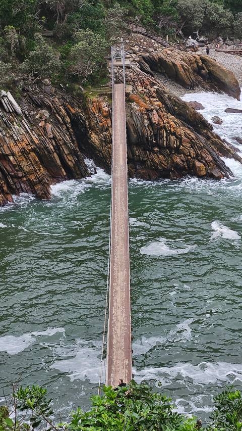       A suspension bridge over water.
  