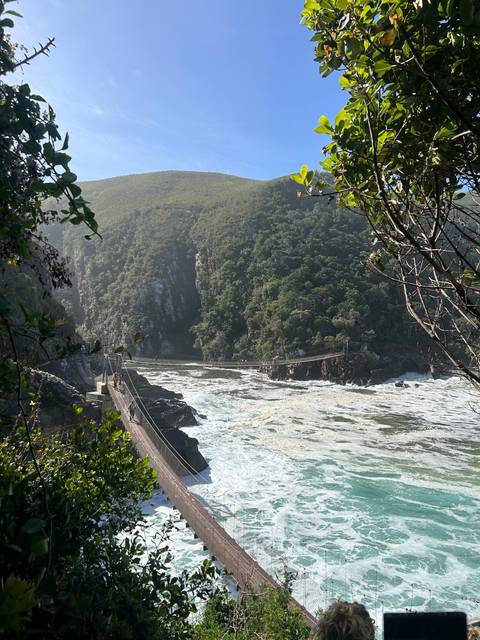       Suspension bridge over a gorge with a view of the ocean and lush vegetation.
  