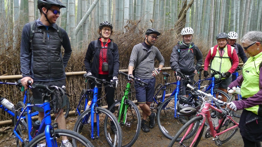 Group of cyclists in a bamboo forest.