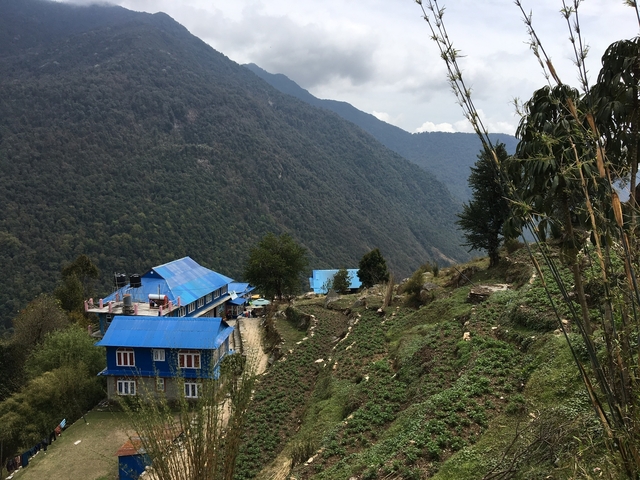 Blue-roofed mountain residences set against a verdant landscape.