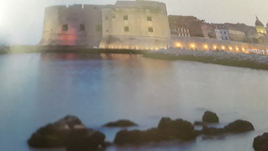       Blurry image of a historic coastal fortress at night.
  