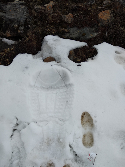 A footprint in the snow.